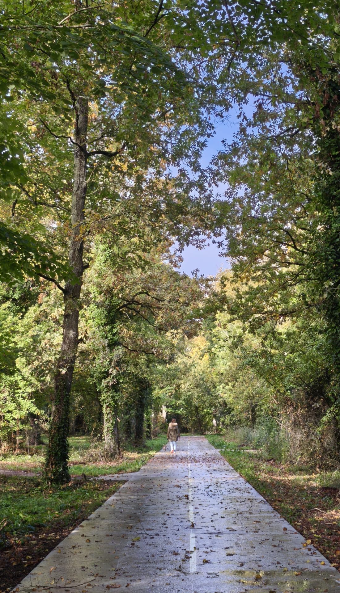 Ville durable - Lagord Ensemble